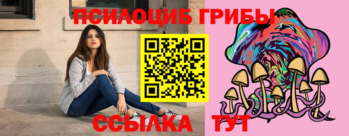 Избербаш  Псилоцибиновые грибы Magic Shrooms  Вход с VPN 